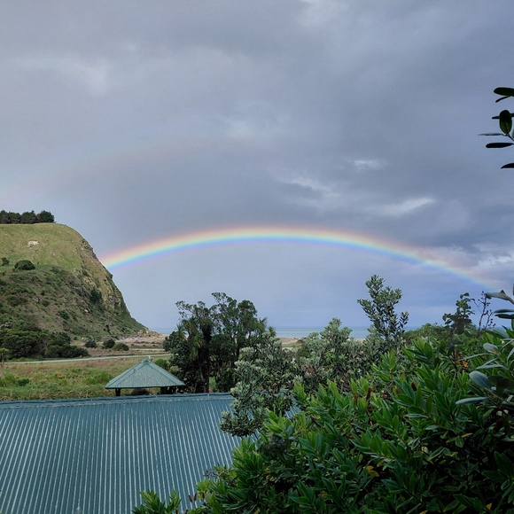 Posh Ambassador II, over 6400 sales - Picture 4 of 7